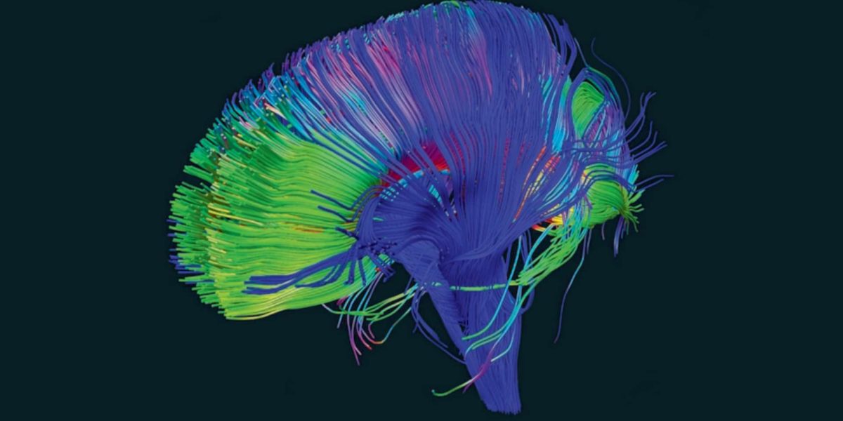 Book Review: The Remarkable Adaptability of the Human Brain