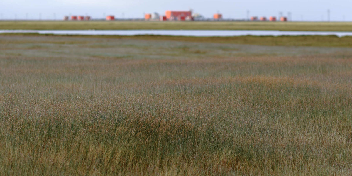 Opinion: Gravel or Green: What Will Become of Alaska’s Coastal Plain?